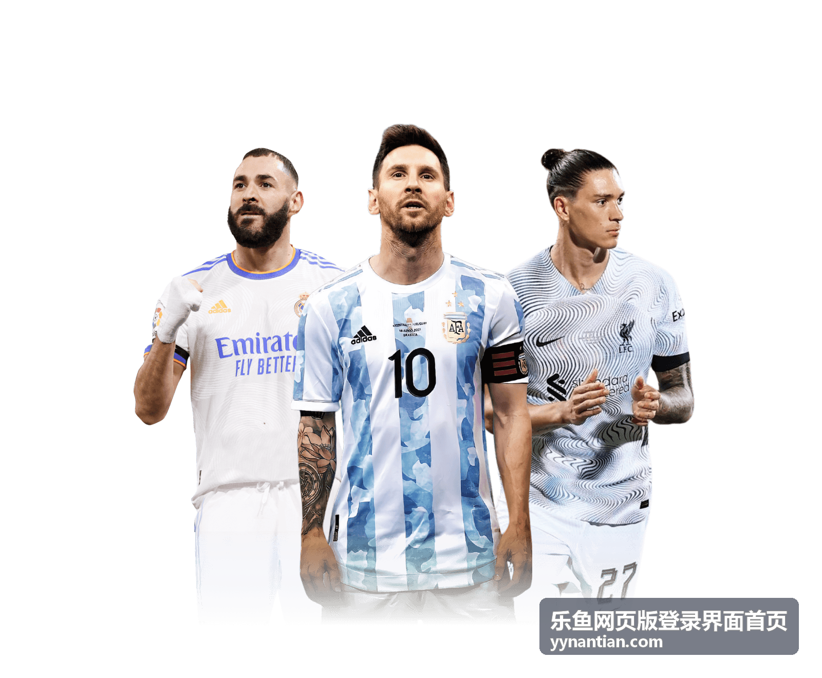 乐鱼网页版登录界面首页账号锁定状态说明